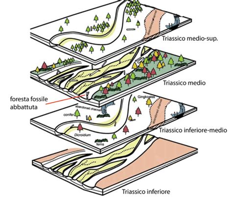 Schema di una piana alluvionale con elementi morfologici