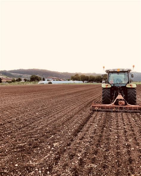 Terreno fertile che produce grano
