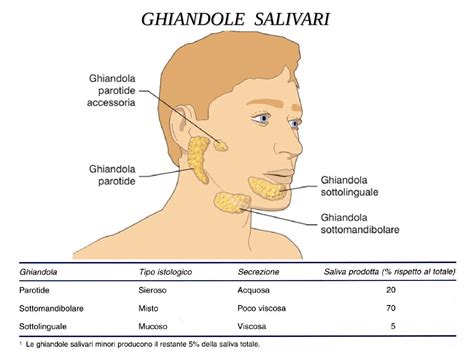 Immagine delle ghiandole parotidi gonfie in caso di parotite