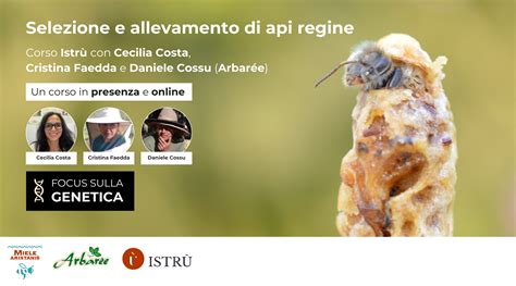 Selezione genetica di api regine