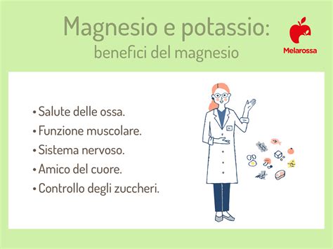 Diagramma che illustra le funzioni del Potassio e del Magnesio nel corpo umano