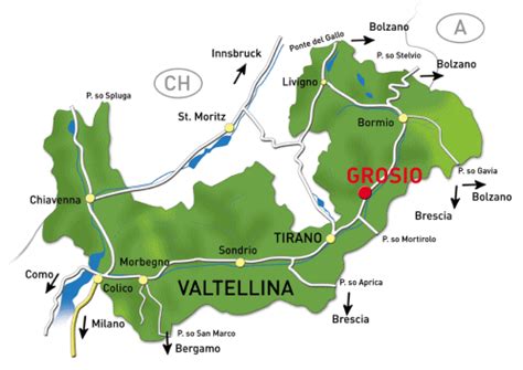 Mappa della Valtellina e Valchiavenna con ospedali