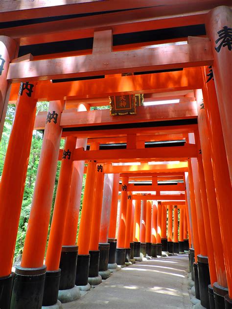 Santuario di Inari con torii rossi
