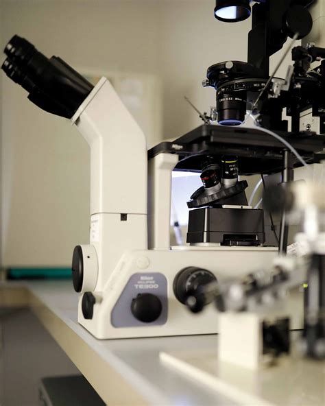 Microscopio utilizzato in laboratorio di PMA