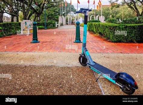 Uno scooter elettrico parcheggiato vicino a una spiaggia