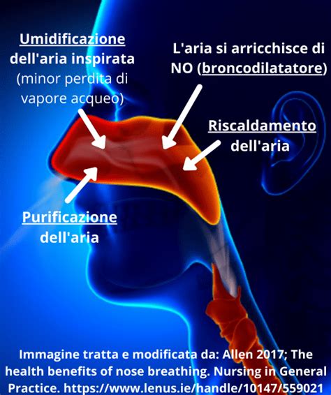 Infografica che illustra i benefici di un aspiratore nasale per anziani: respirazione migliorata, prevenzione infezioni, comfort aumentato.