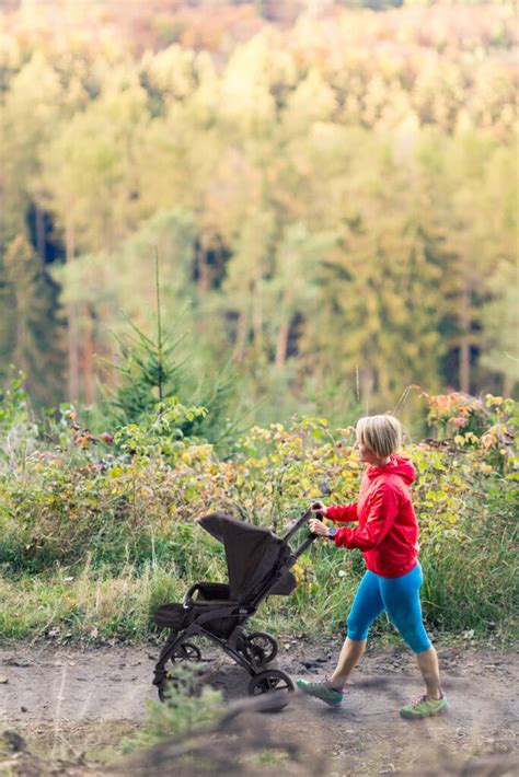 Bambino su un passeggino da trekking in un bosco