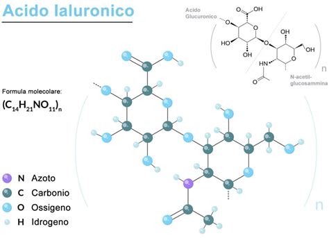 Struttura molecolare dell'acido ialuronico