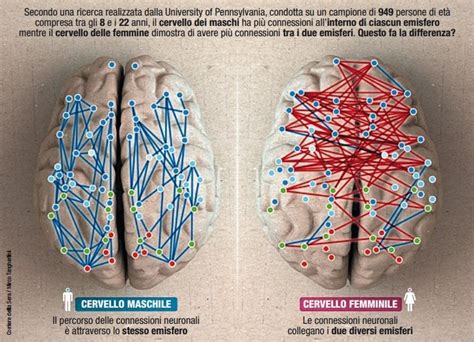 Diagramma che illustra le differenze di connettività tra cervello maschile e femminile