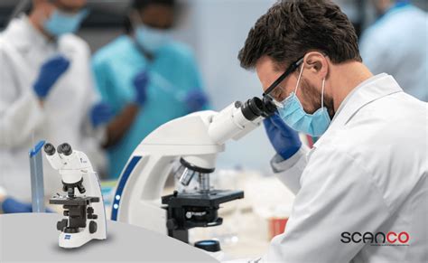 Microscopio in laboratorio di embriologia