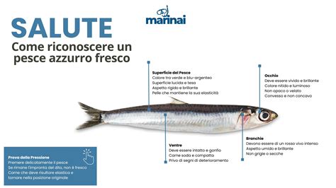 Novellame di pesce azzurro fresco in una pescheria