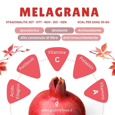 Illustrazione di un melograno con i suoi antiossidanti