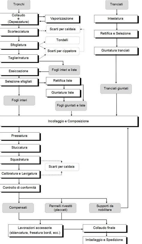 Diagramma del processo di impianto dell'ovulo fecondato e produzione di hCG