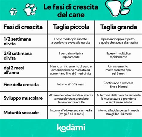 Grafico che mostra le fasi di crescita del cucciolo e le relative raccomandazioni alimentari