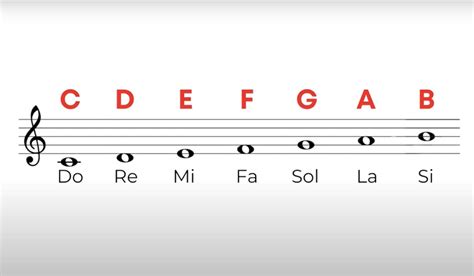 illustrazione stilizzata di note musicali che emergono da un chicco di caffè