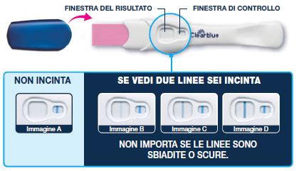 Schema di interpretazione dei risultati del test di gravidanza Clearblue