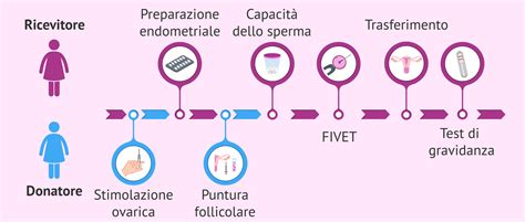 Diagramma che illustra il processo di ovodonazione