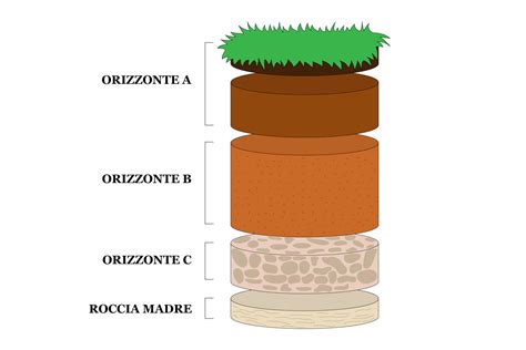Schema degli orizzonti del suolo