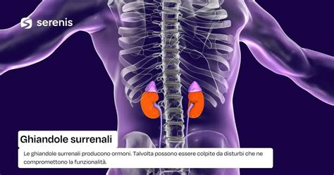 Ghiandole cervicali che producono muco
