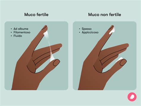 Simbolo di gravidanza con muco cervicale
