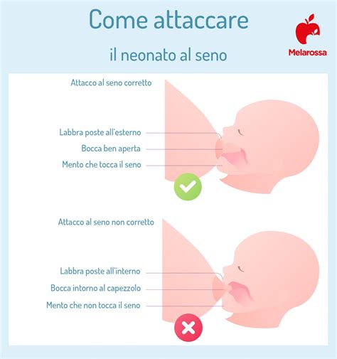neonato che succhia al seno