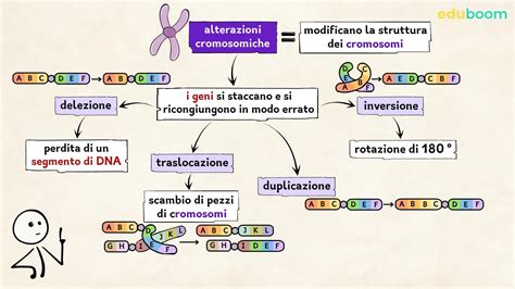 Diagramma che illustra le mutazioni genetiche comuni associate alla trombofilia