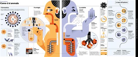 Infografica che mostra le diverse componenti analizzate in un pannello trombofilico