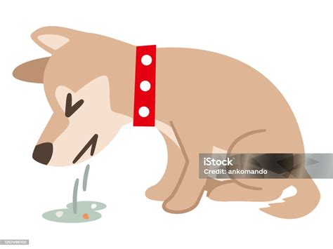cane che vomita