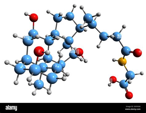 Struttura molecolare della Beta hCG