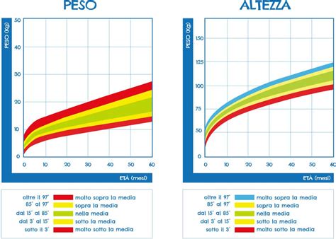 Grafico che mostra la crescita ossea nei bambini