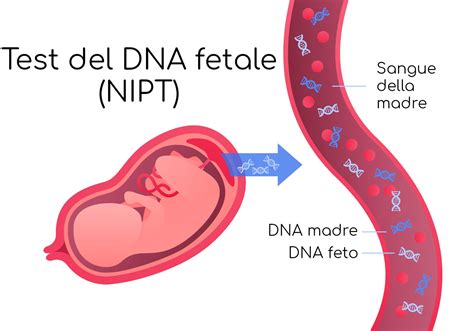 DNA fetale