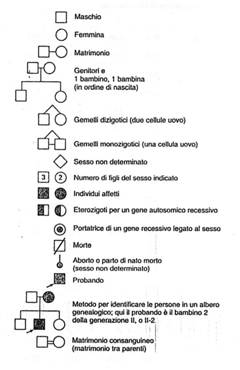 Albero genealogico con simboli genetici
