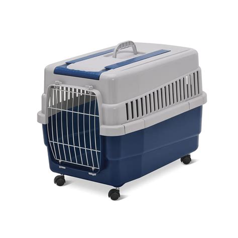primo piano di un trasportino per cani con ruote