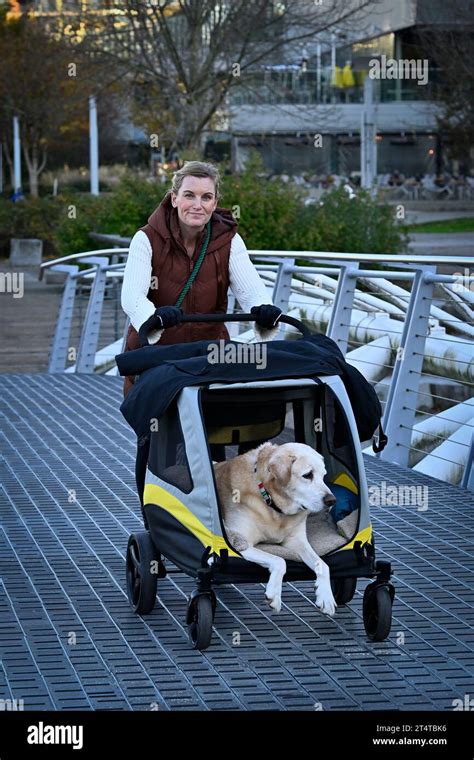 donna che spinge un passeggino per cani doppio in un parco