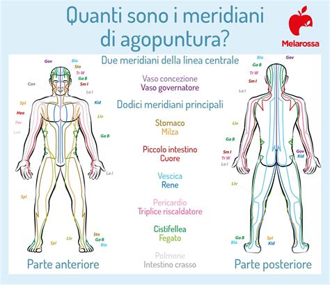 Agopuntura e punti riflessi correlati alla fertilità