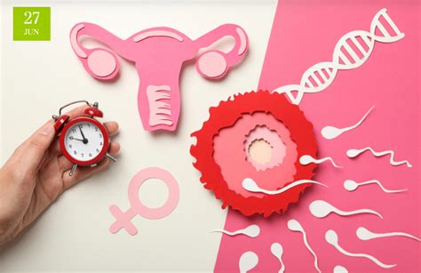 Infografica che illustra i fattori che influenzano la fertilità femminile