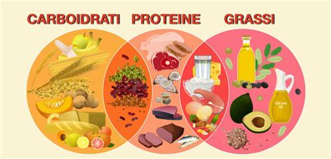 Grafico dei nutrienti essenziali per l'allattamento