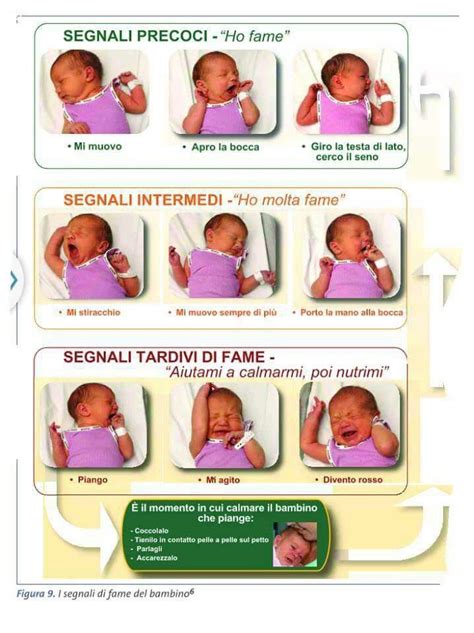 Infografica sui segnali di fame del neonato