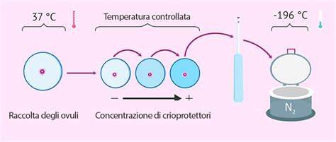 Diagramma comparativo tra congelamento lento e vitrificazione embrionale