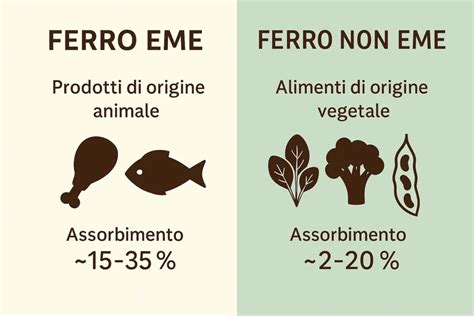 Diagramma che confronta l'assorbimento del ferro eme e non-eme