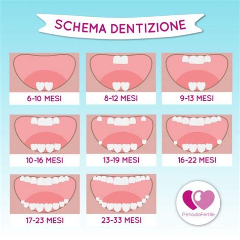 Diagramma che illustra i sintomi della dentizione nei neonati