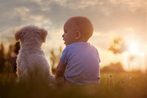 bambino con cane