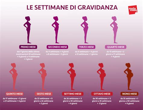 Grafico dell'andamento della Beta hCG nelle prime settimane di gravidanza