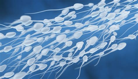 Microfotografia di spermatozoi con diversi gradi di motilità
