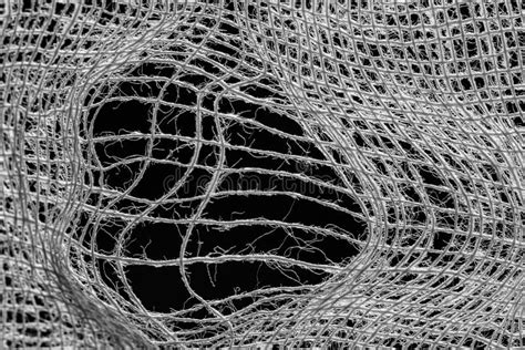 Tessuto di cotone al microscopio
