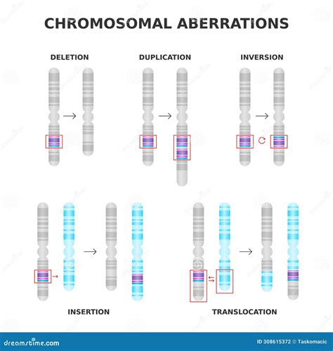 illustrazione di anomalie cromosomiche