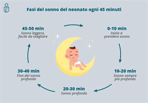 Grafico che illustra le fasi del sonno nel neonato e nell'adulto