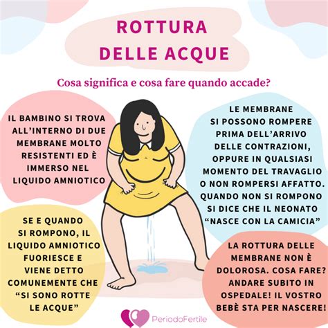 Infografica: Diversi scenari di rottura delle acque