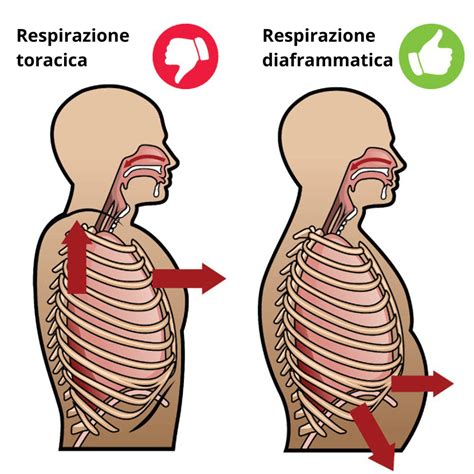 Diagramma che illustra le differenze tra respirazione nasale e respirazione orale nei bambini
