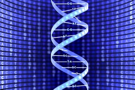 DNA helix